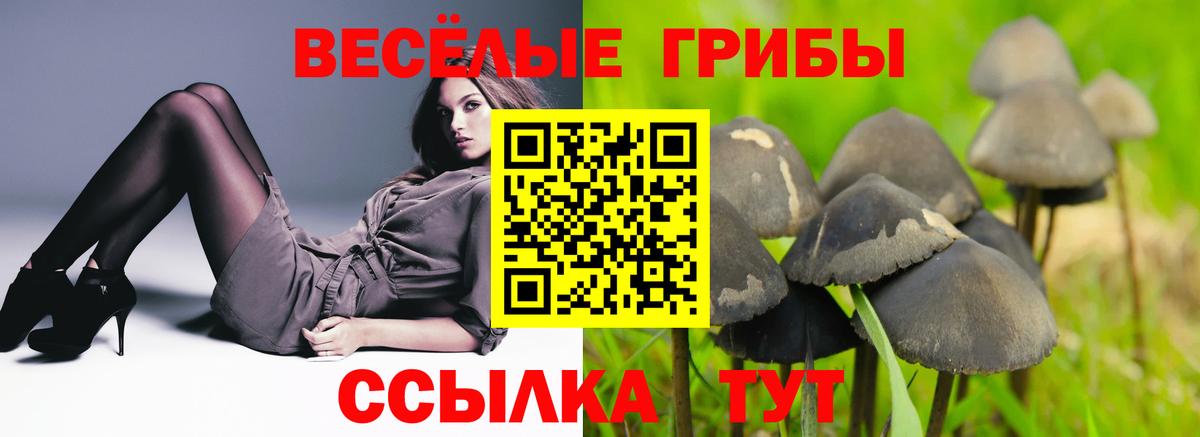 Тихвин  Галлюциногенные грибы Magic Shrooms  Вход с VPN  Псилоцибиновые грибы ЛСД 
