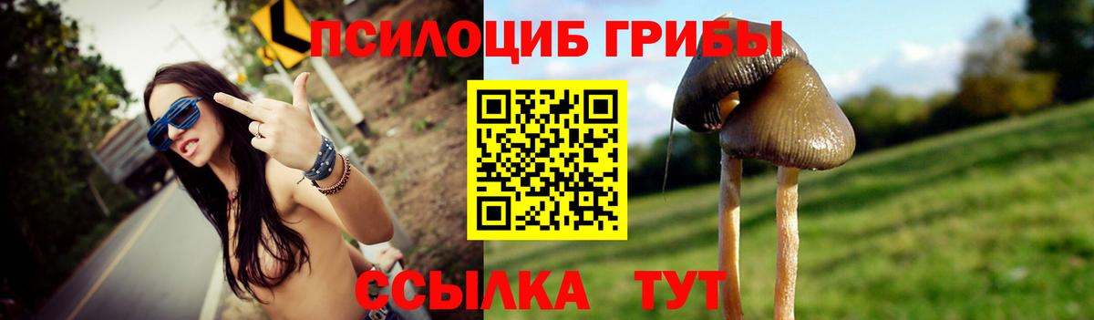 Псилоцибиновые грибы GOLDEN TEACHER Тихвин